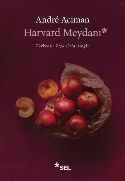 harvard-meydani