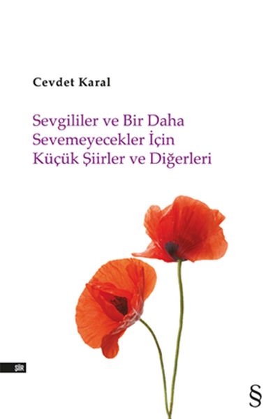 sevgililer-ve-bir-daha-sevemeyecekler-icin-kucuk-siirler-ve-digerleri