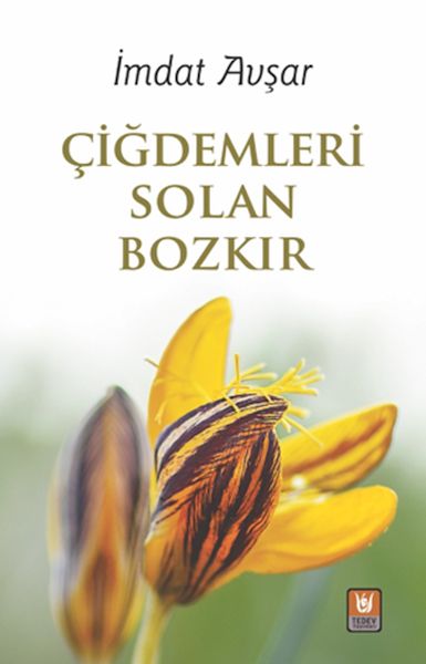 cigdemleri-solan-bozkir