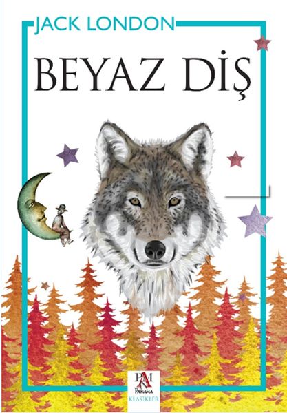 beyaz-dis-51848