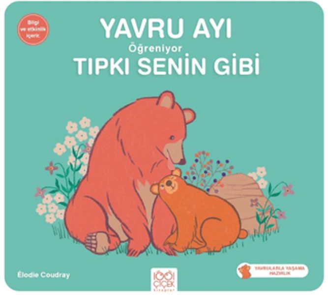 yavru-ayi-ogreniyor-tipki-senin-gibi
