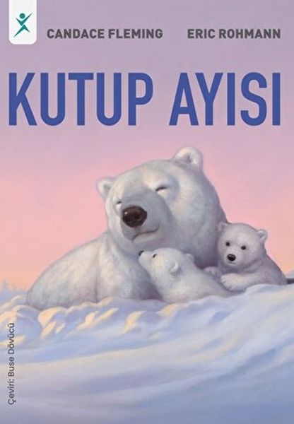 kutup-ayisi-188056