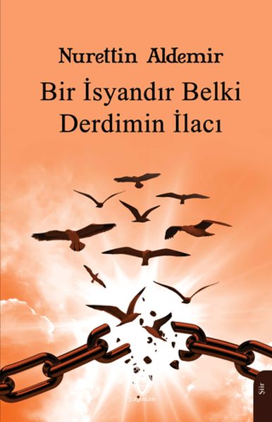 bir-isyandir-belki-derdimin-ilaci