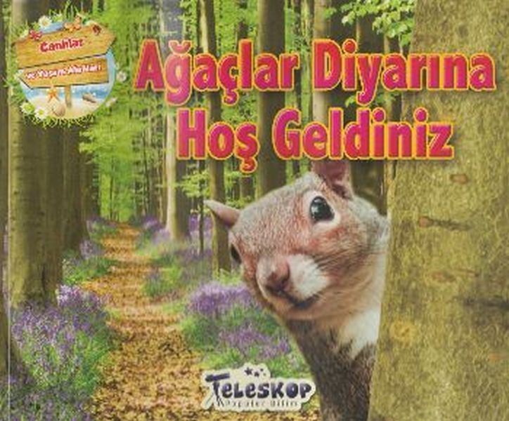 agaclar-diyarina-hos-geldiniz