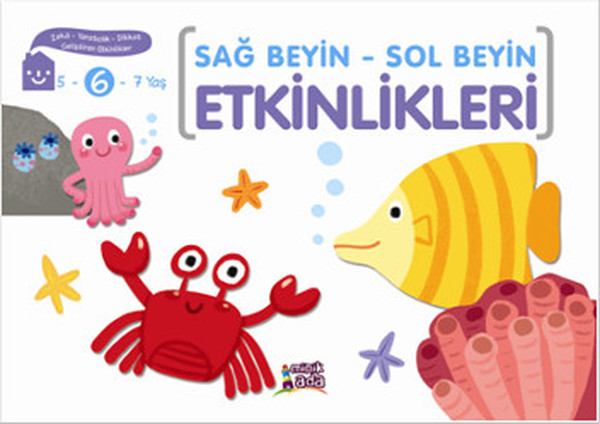 sag-beyin-sol-beyin-etkinlikleri-6-yas