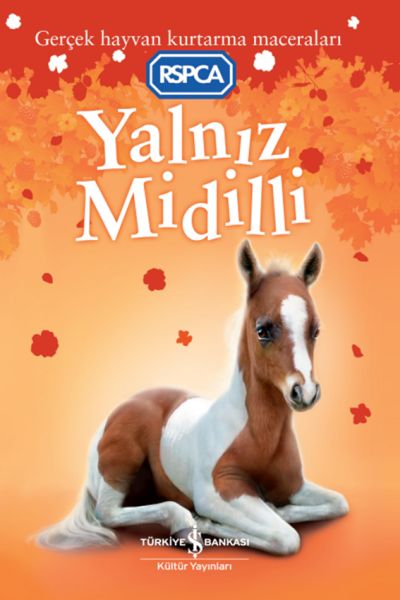 yalniz-midilli