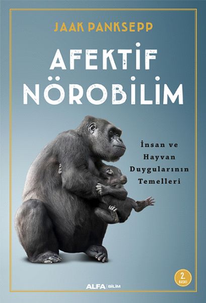 afektif-norobilim