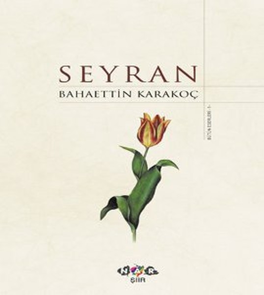 seyran-ciltli