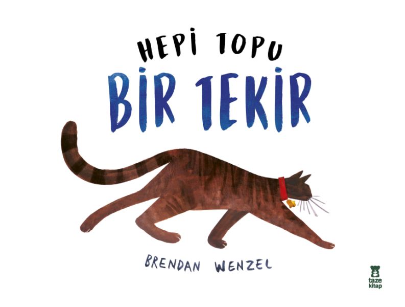 hepi-topu-bir-tekir