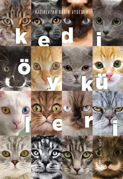 kedi-oykuleri