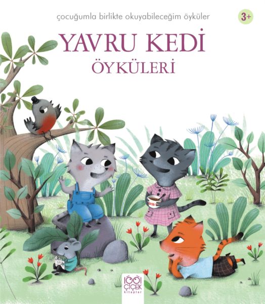 yavru-kedi-oykuleri