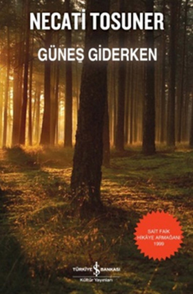 gunes-giderken