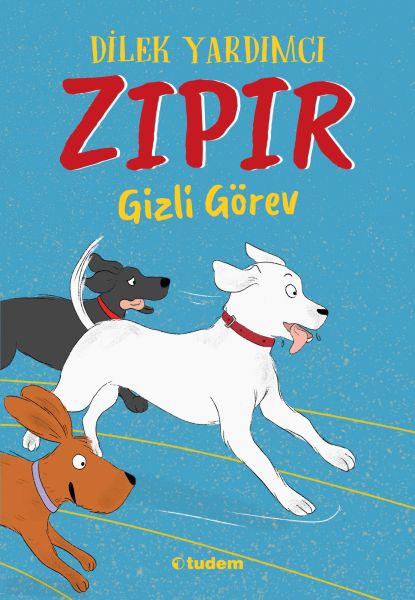 zipir-gizli-gorev