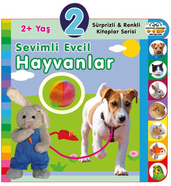 yas-sevimli-evcil-hayvanlar-2-yas