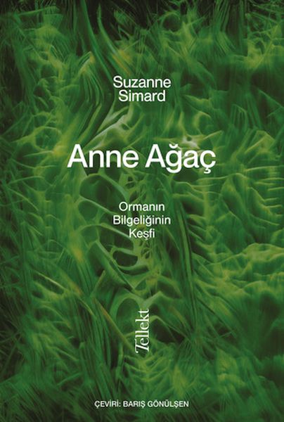 anne-agac