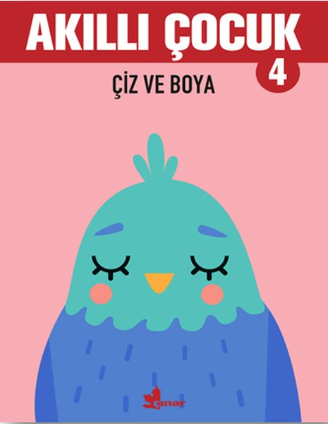 ciz-ve-boya-akilli-cocuk-4