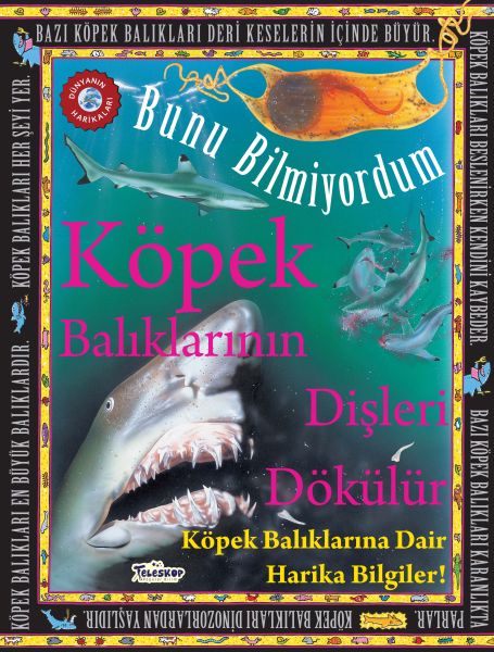 kopek-baliklarinin-disleri-dokulur-bunu-bilmiyordum-kopek-baliklarina-dair-harika-bilgiler