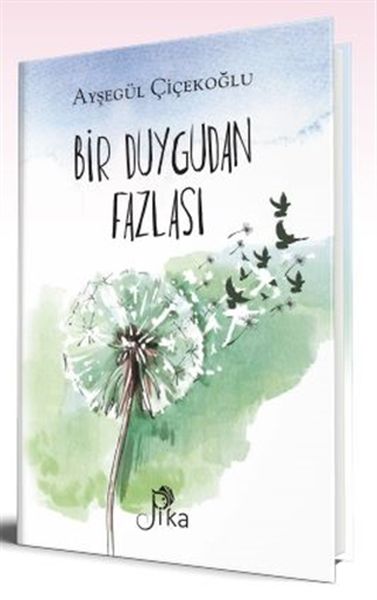 bir-duygudan-fazlasi