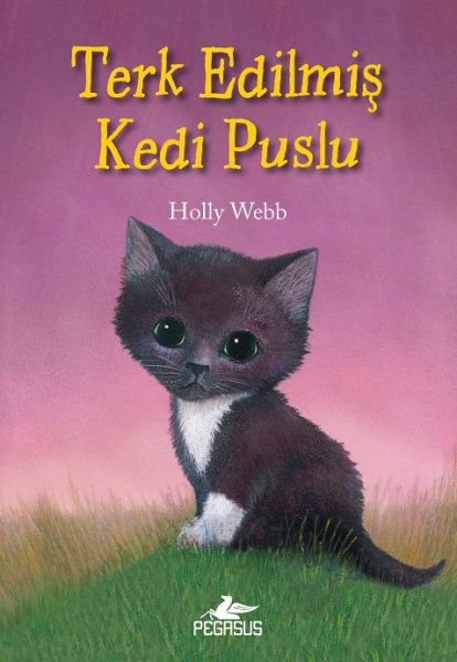 terk-edilmis-kedi-puslu