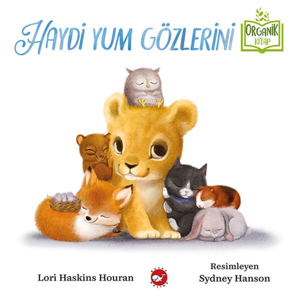 haydi-yum-gozlerini