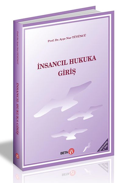 insancil-hukuka-giris