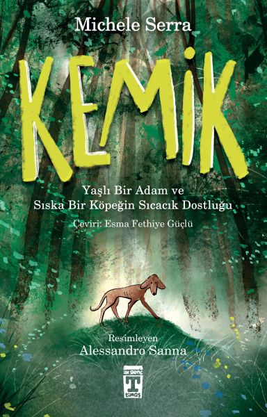 kemik