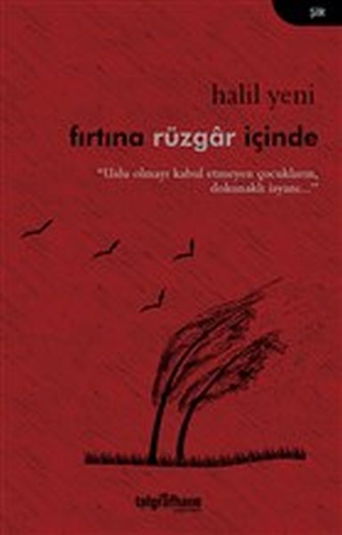 firtina-ruzgar-icinde