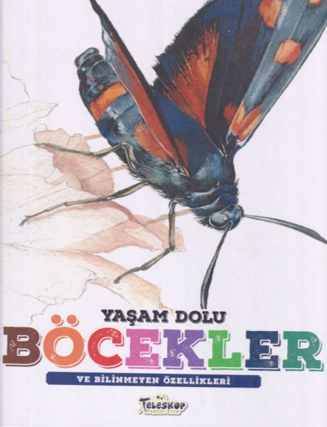 yasam-dolu-bocekler