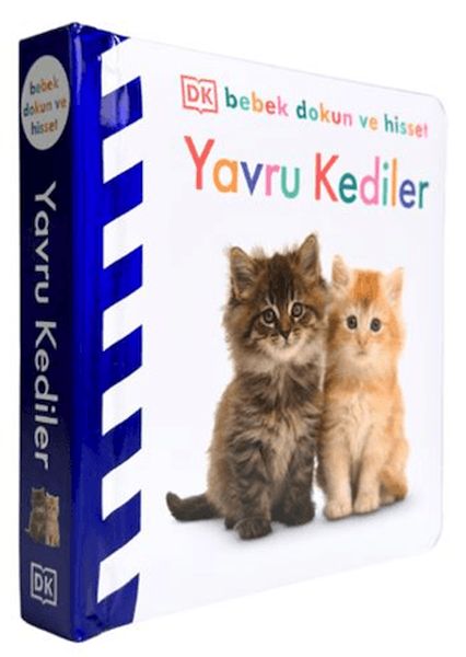 bebek-dokun-ve-hisset-yavru-kediler