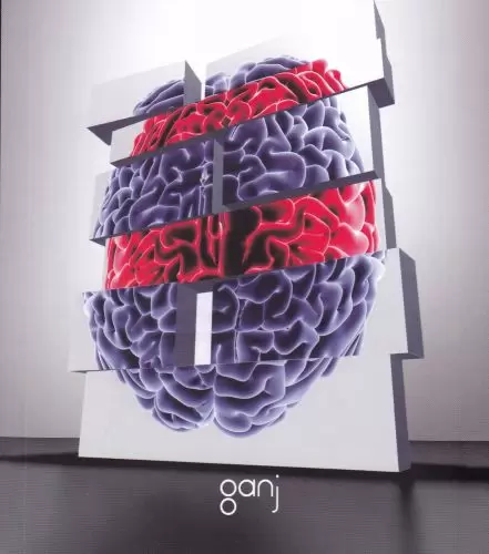 yasam-uzerine-yorumlamalar-cilt-2