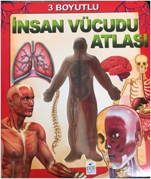 3-boyutlu-insan-vucudu-atlasi