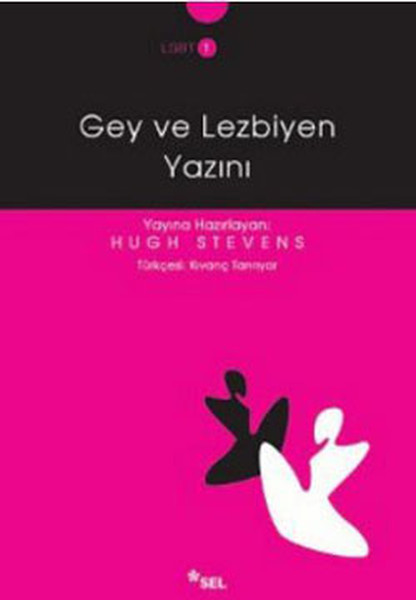 gey-ve-lezbiyen-yazini