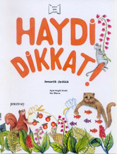 haydi-dikkat-benzerlik-farklilik