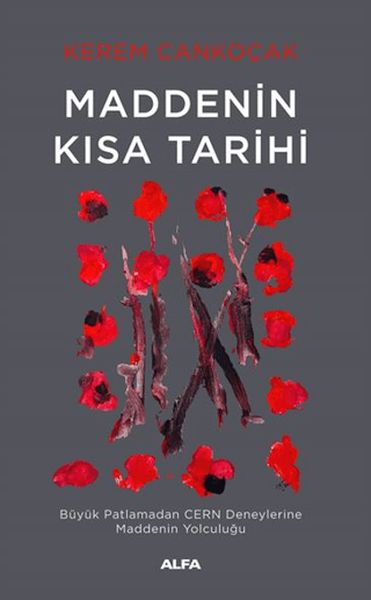 maddenin-kisa-tarihi