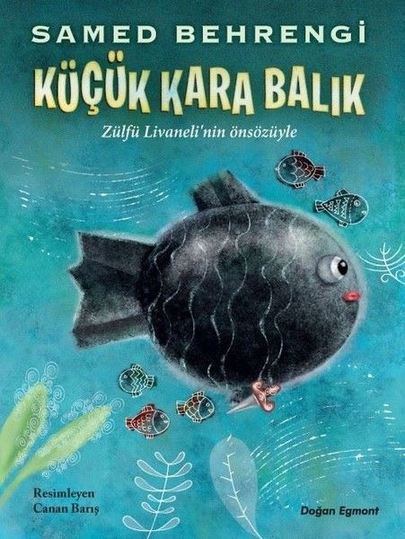 kucuk-kara-balik-5646