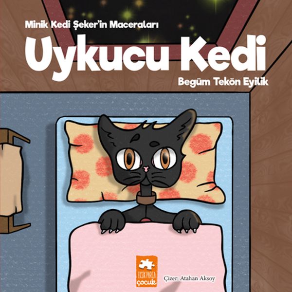 uykucu-kedi-minik-kedi-seker-in-maceralari