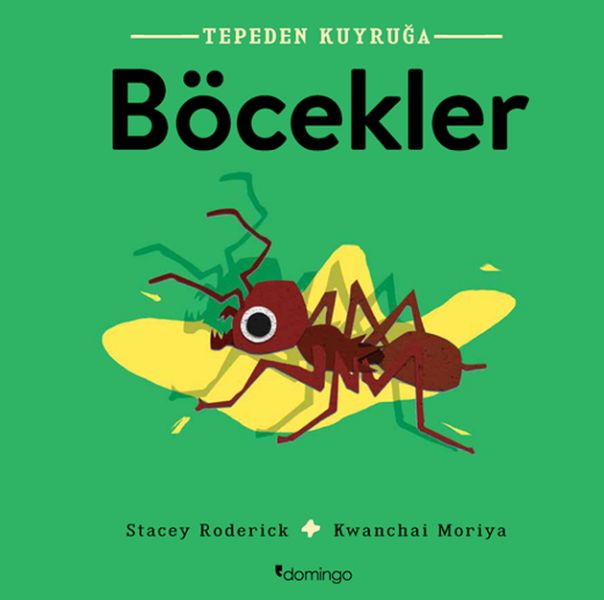 tepeden-kuyruga-bocekler