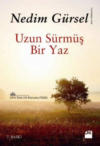 uzun-surmus-bir-yaz