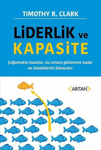 liderlik-ve-kapasite