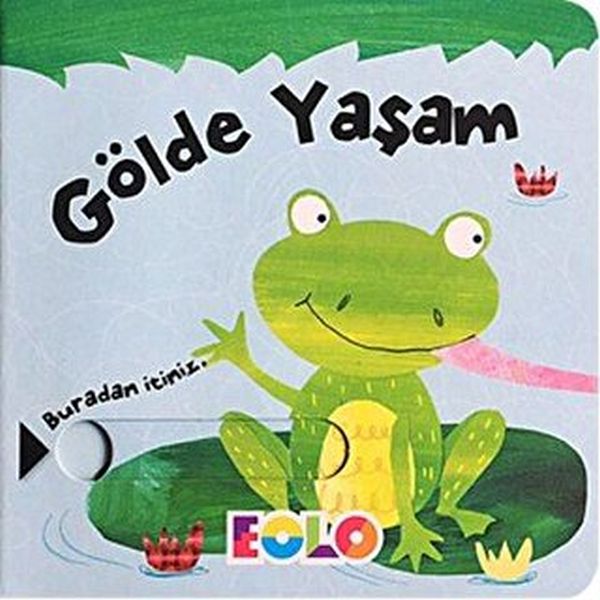 surgulu-kitaplar-golde-yasam