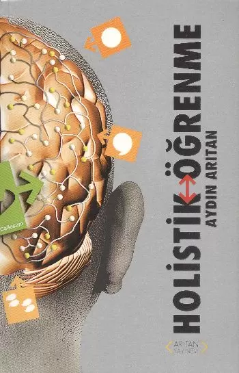 holistik-ogrenme