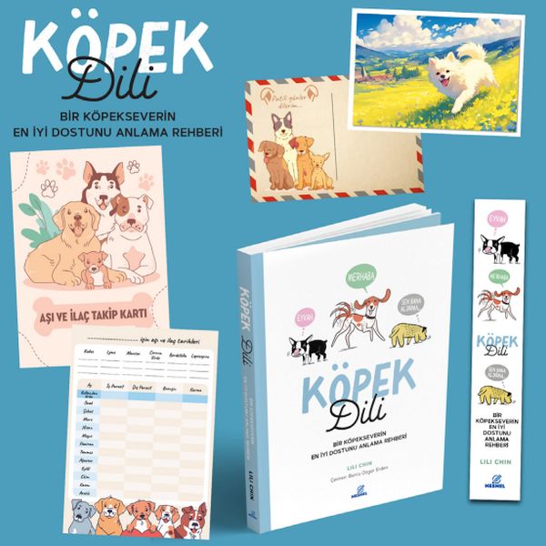 kopek-dili-bir-kopekseverin-en-iyi-dostunu-anlama-rehberi