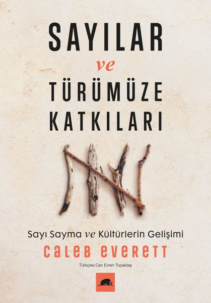 sayilar-ve-turumuze-katkilari