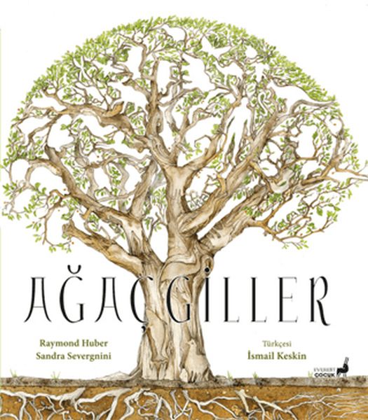 agacgiller