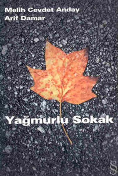 yagmurlu-sokak