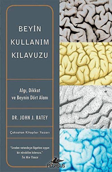 beyin-kullanim-kilavuzu