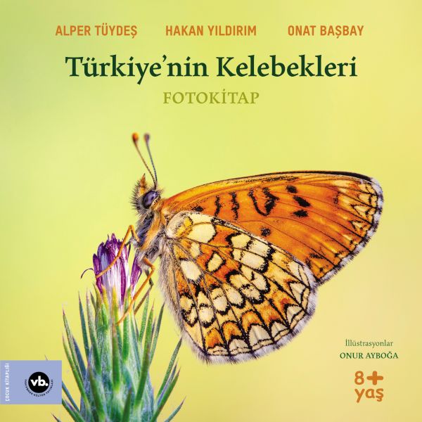 turkiye-nin-kelebekleri