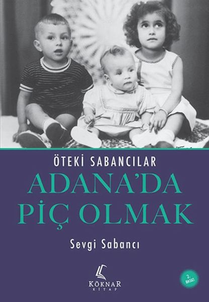 adana-da-pic-olmak