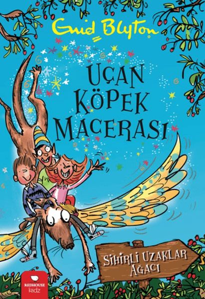 ucan-kopek-macerasi