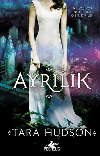 ayrilik-ciltli-araf-serisi-2-kitap